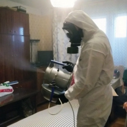 Дезинфекция от клопов в Среднеуральске